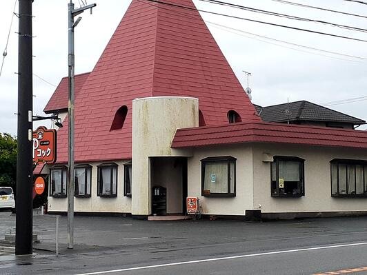 Pコックの外観