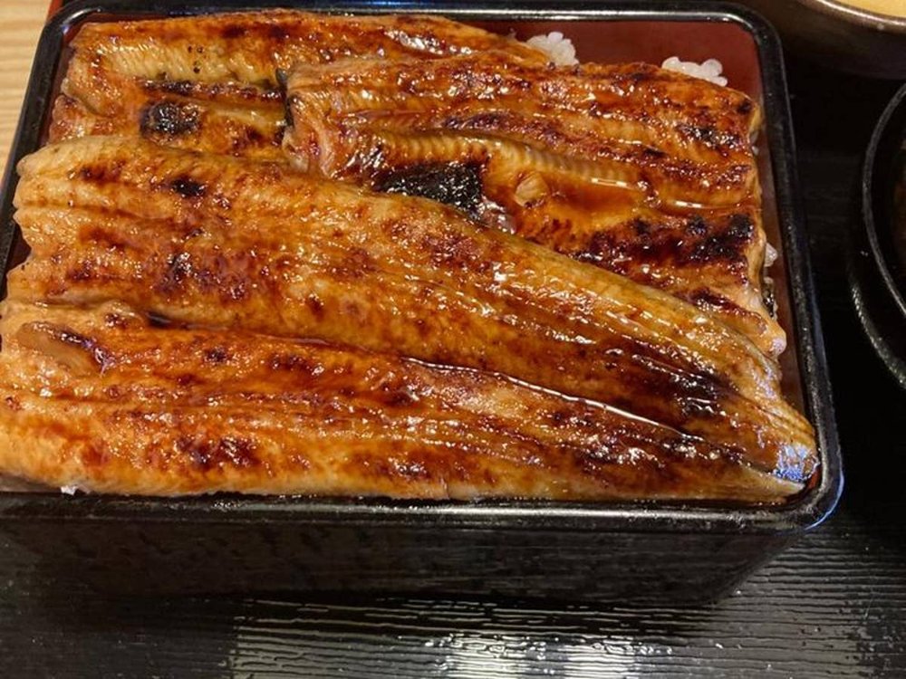 うな雄のうな重