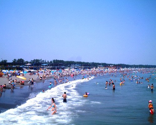 夏の海水浴客でにぎわう静波海岸