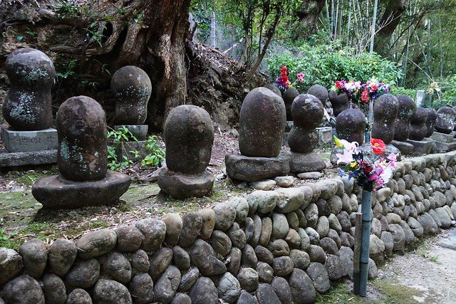 石垣の上に並ぶ、苔むしたまゆ型の無縫石