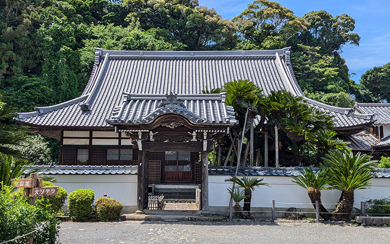 瓦屋根の山門と白い塀の奥に見える大ソテツ
