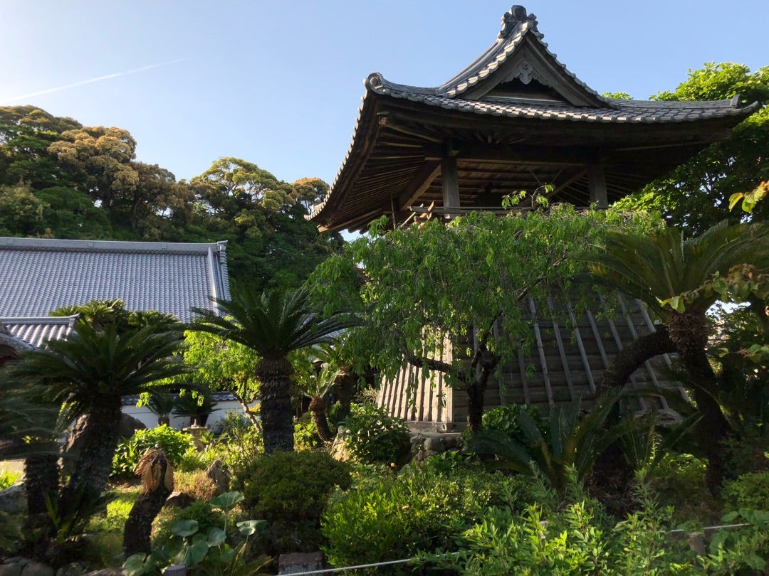 緑の庭に並ぶソテツと、その奥に建つ鐘楼