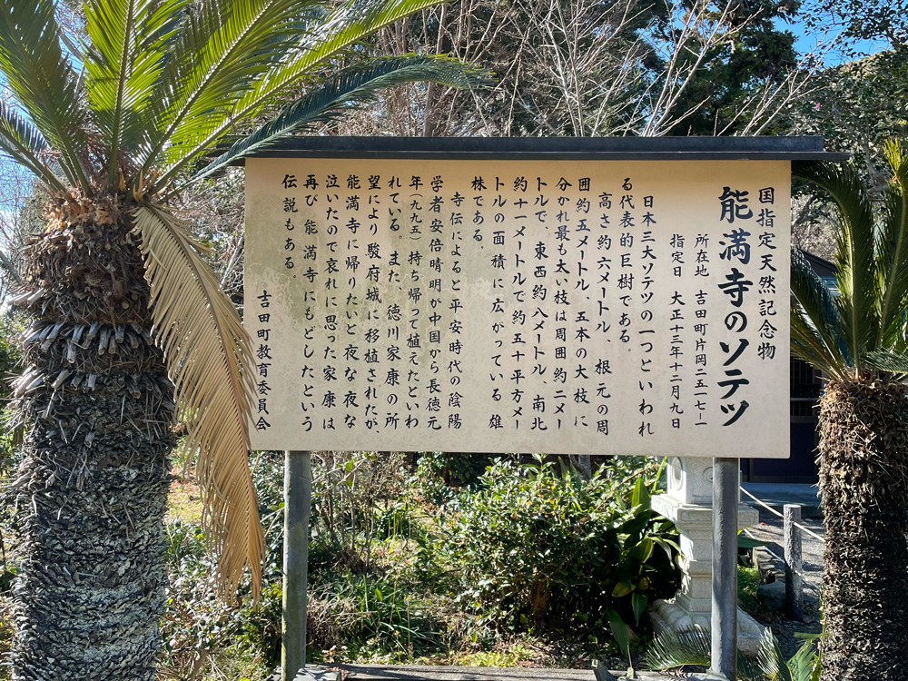 安倍晴明や徳川家康の伝説が記された能満寺のソテツの案内板